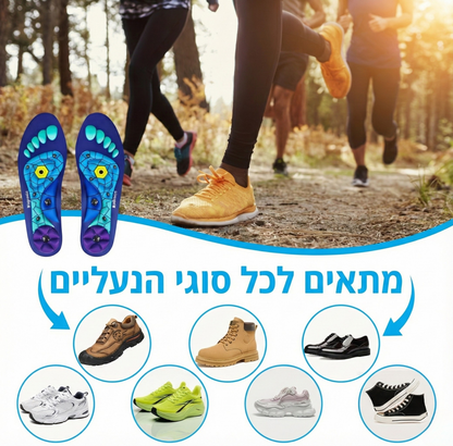 AcuPoint - מדרס רפלקסולוגי